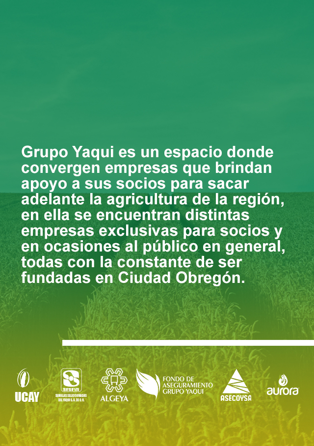 Grupo Yaqui